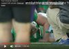 green whistle.jpg