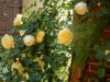 DSCN3868.JPG