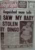 dingo.jpg