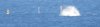 buoy2_b.jpg