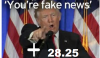 fake plus 28.png
