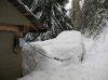 images (35).jpeg