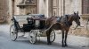plant-based-news-mallorca-horse-drawn-carriages.jpg