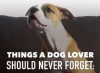 dog.PNG