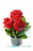 ROSES.jpg