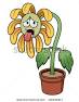 WILTED FLOWER index.jpg