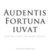 Fortune favours the Brave.jpg