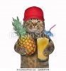 cat-with-a-pineapple-and-juice-stock-photo_csp64640748.jpg