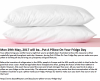 280517 put a pillow on your fridge monday.png