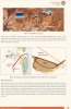 IMG_8640.jpeg
