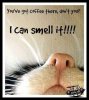 FB_IMG_1716961828781.jpg
