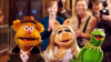 Screenshot 2024-07-03 at 20-33-01 the_muppets3_a_l.jpg (WEBP Image 648 × 365 pixels).png