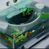 sink fish tank.jpg