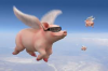 Flying pigs.png