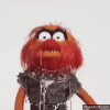 Sesame Street Puppet GIF - Sesame Street Puppet - Discover & Share GIFs.gif