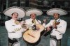 Mariachi3.jpg