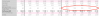 Screen Shot 2017-08-06 at 8.25.59 pm.png
