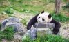 upload_2025-2-5_13-17-29.jpeg