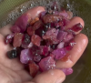 primary deposit rubies.png