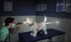 Light through dog..JPG
