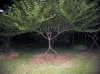 upload_2017-9-13_19-32-4.jpeg