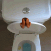 pics_animated-diving-into-toilet.gif~c200.gif