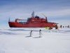 aurora Australis.jpg