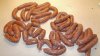 june sausage0001.jpg