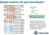 06 - Gold - Major Mineralised System & Drill Results.jpg