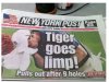 tiger.JPG