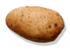 potato.png