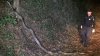 QLD PYTHON.jpg