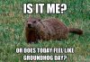 groundhog-day-meme-2.jpg